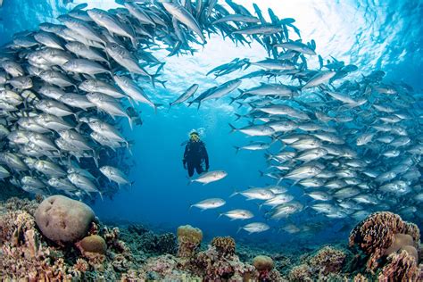 How to pronounce tubbataha reef .